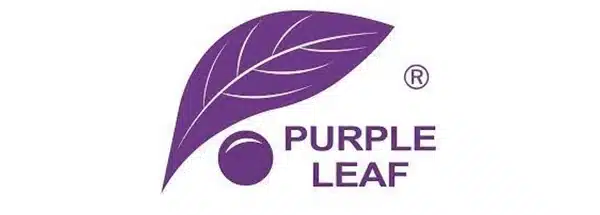 Purple Leaf